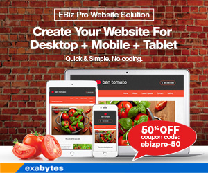 EBiz Pro Website Solution