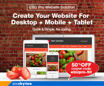 EBiz Pro Website Solution